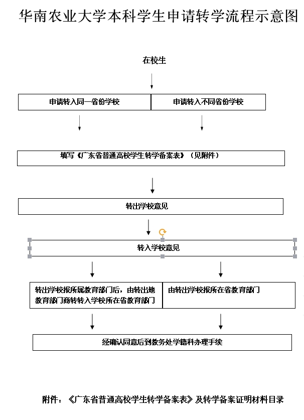 英国365集团本科生申请转学流程.jpg