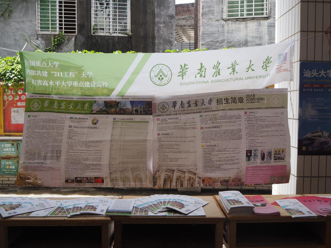 图片8.png